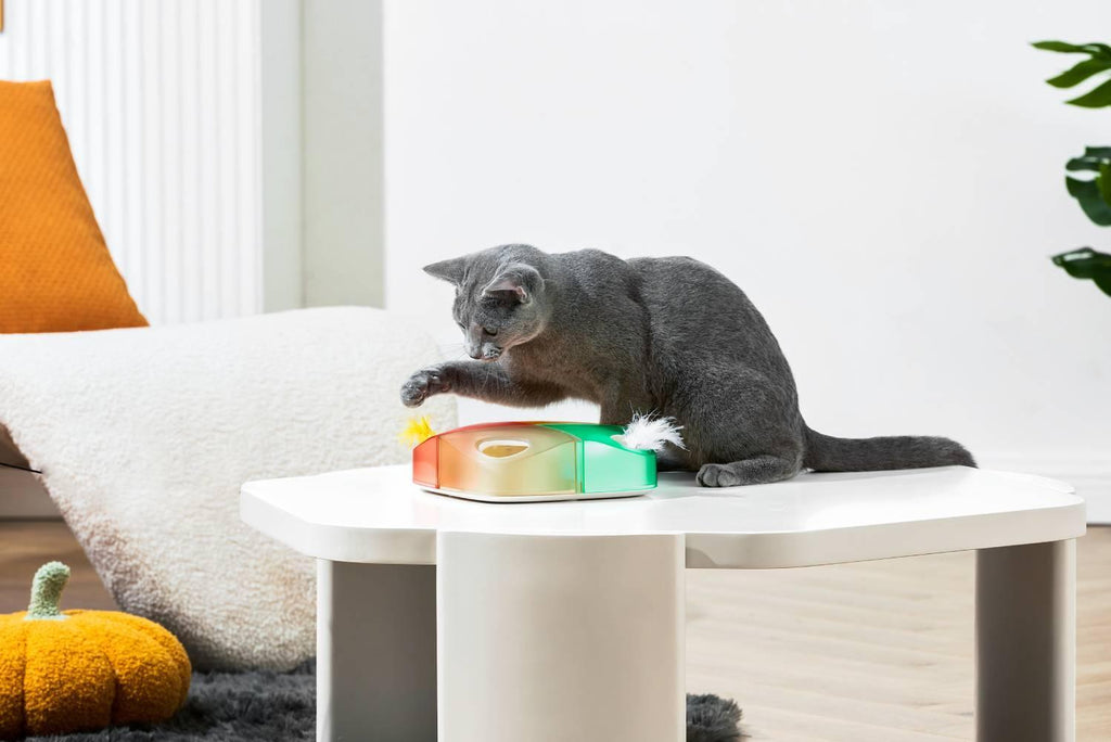 Michu Interactive Feathered Rechargeable Cat Toy Box - MichuPet