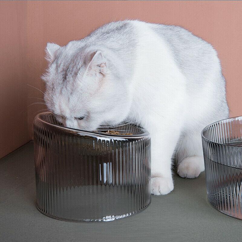 Fooddict Handmade Glass Cat Bowl - MichuPet