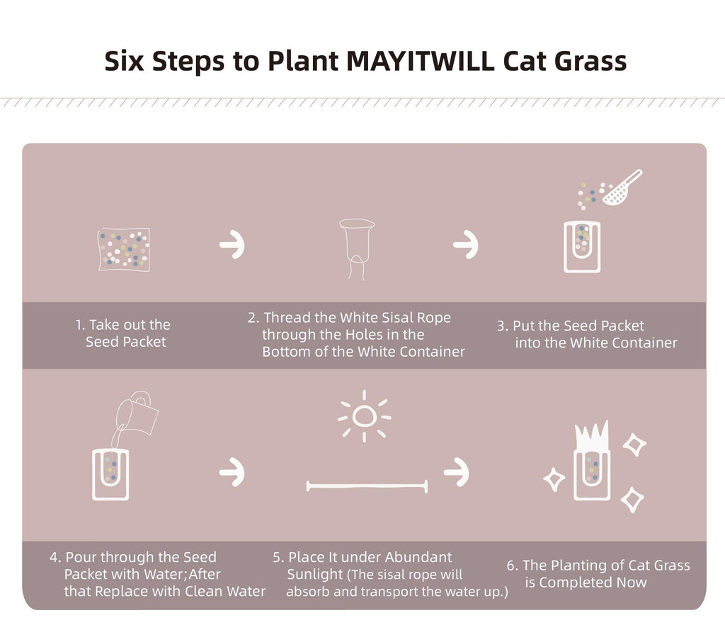 Michupet All-in-One Soil-Free Cat Grass Grow Kit - MichuPet