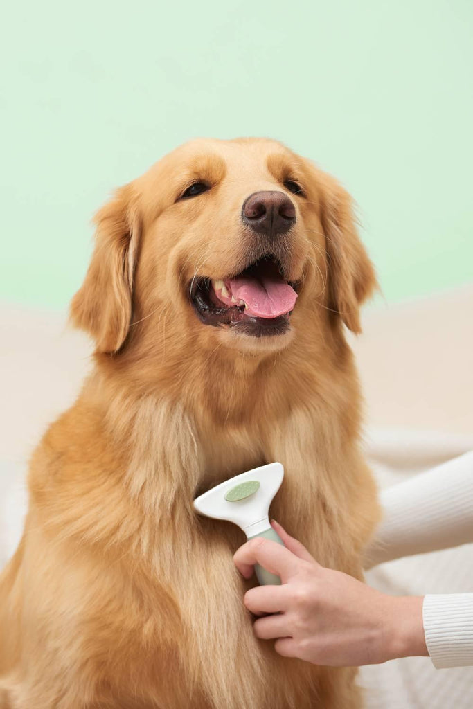 Michu Undercoat Shedding Rake Bundle - Professional Pet Grooming Kit - MichuPet